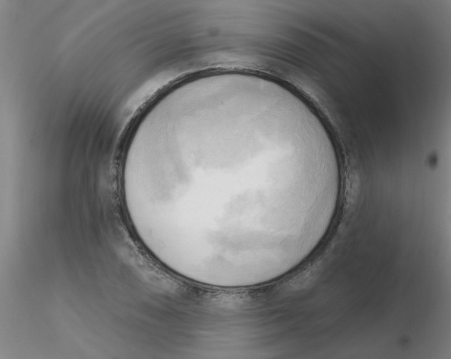 X0000116301074200912211856