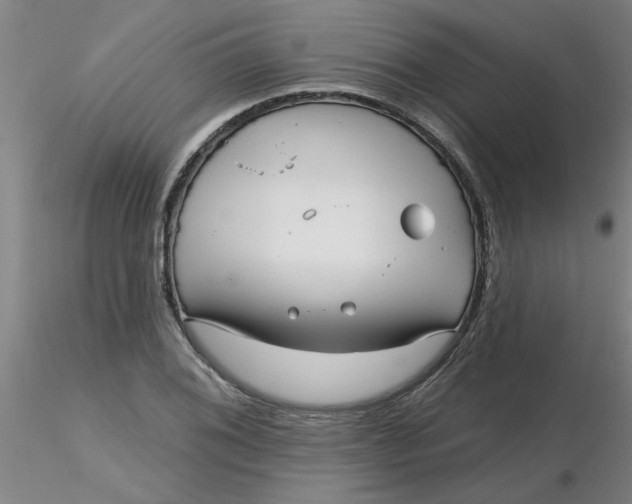 X0000116301076200912211856