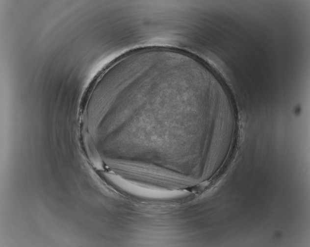 X0000116301077200912211856