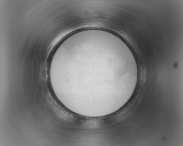 X0000116301078200912211856