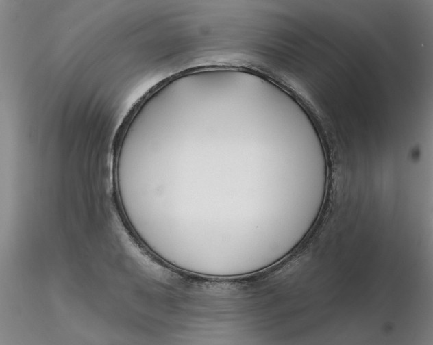 X0000116301079200912211856