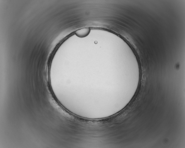 X0000116301080200912211856