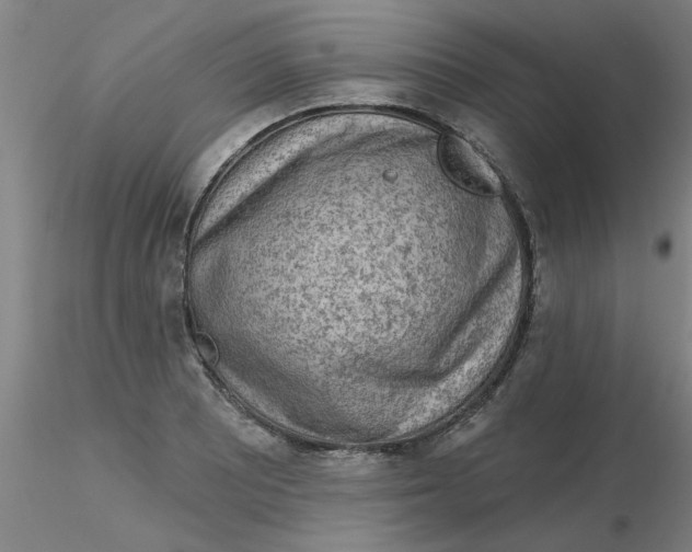 X0000116301081200912211856