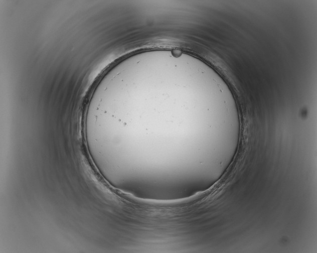 X0000116301083200912211856