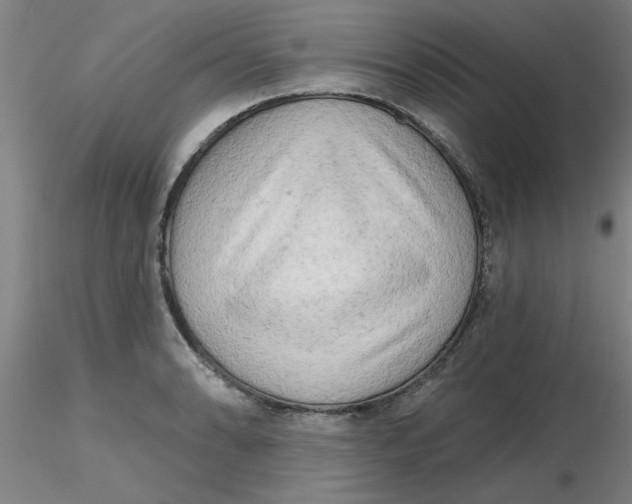 X0000116301086200912211856