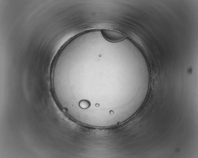 X0000116301087200912211856