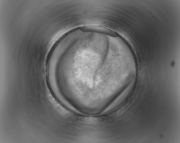 X0000116301088200912211856