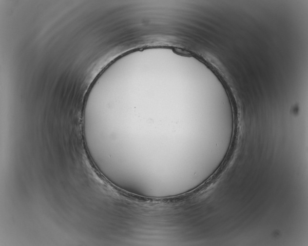 X0000116301089200912211856