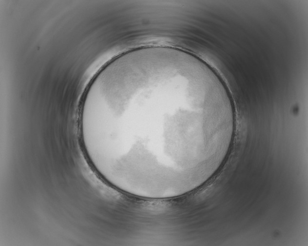 X0000116301090200912211856