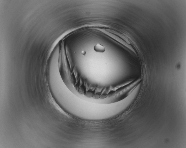 X0000116301092200912211856