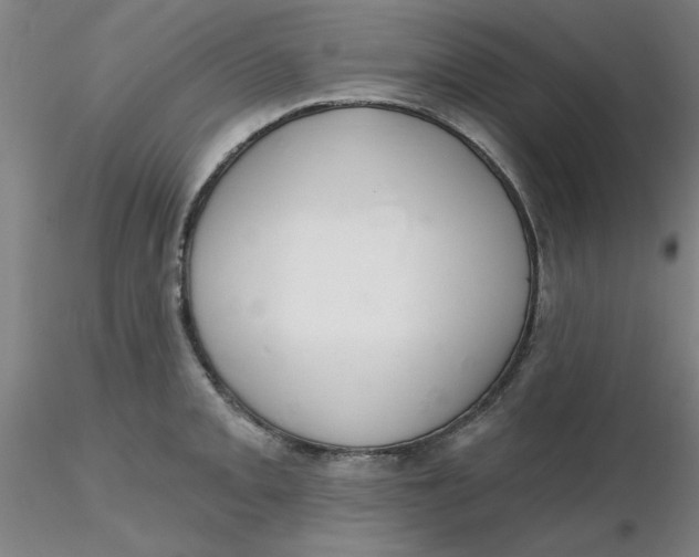 X0000116301093200912211856