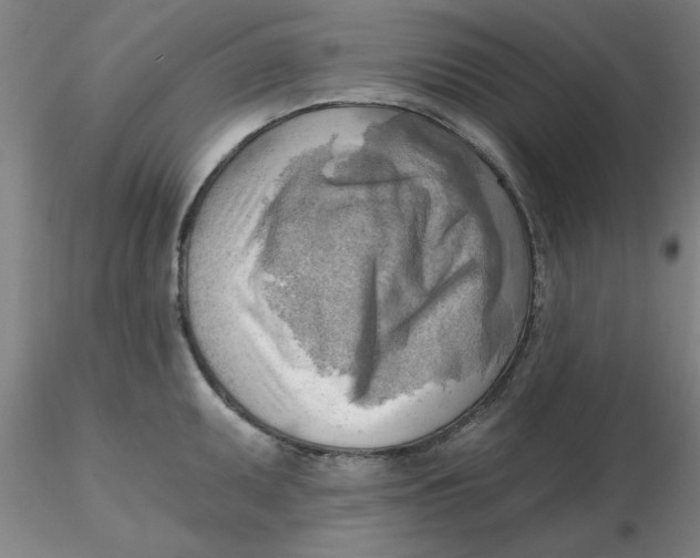 X0000116301095200912211856