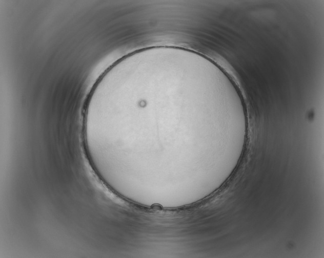 X0000116301096200912211856