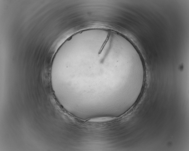 X0000116301097200912211856