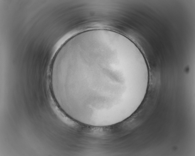 X0000116301098200912211856