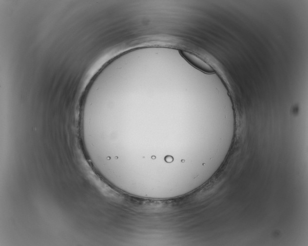 X0000116301099200912211856