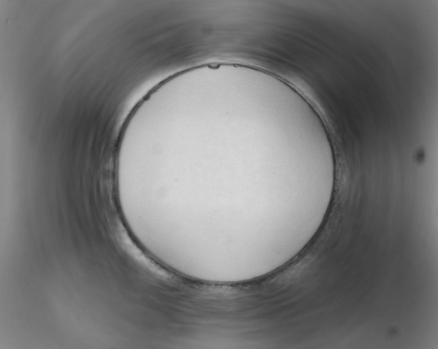 X0000116301100200912211856