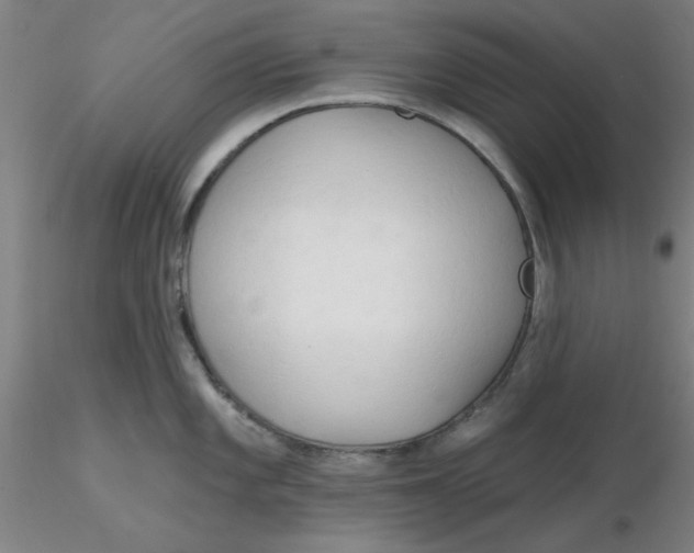 X0000116301101200912211856