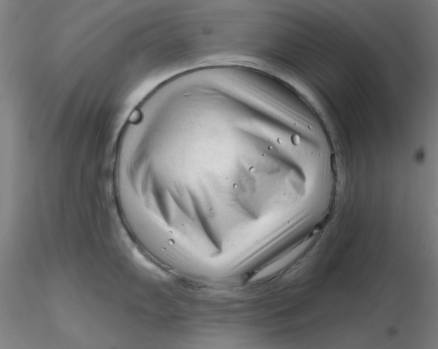 X0000116301102200912211856