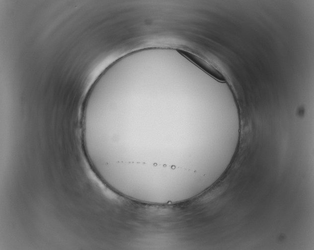 X0000116301103200912211856