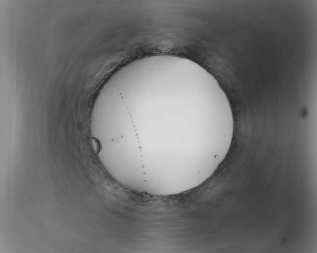 X0000116301105200912211855