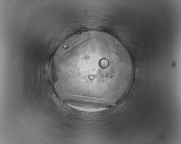 X0000116301106200912211855