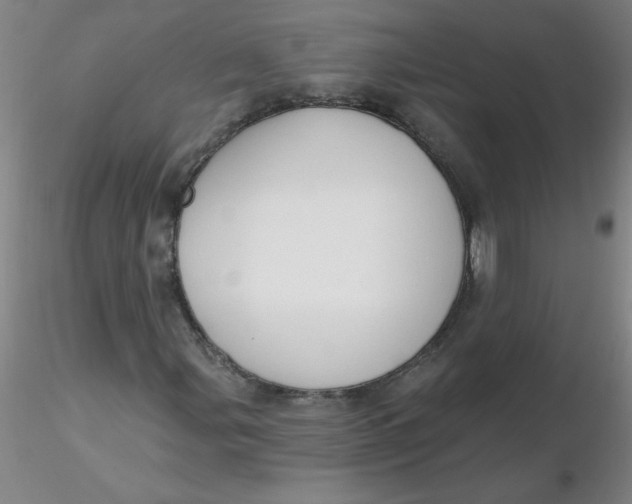 X0000116301107200912211855