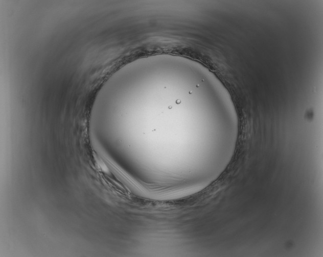 X0000116301109200912211855