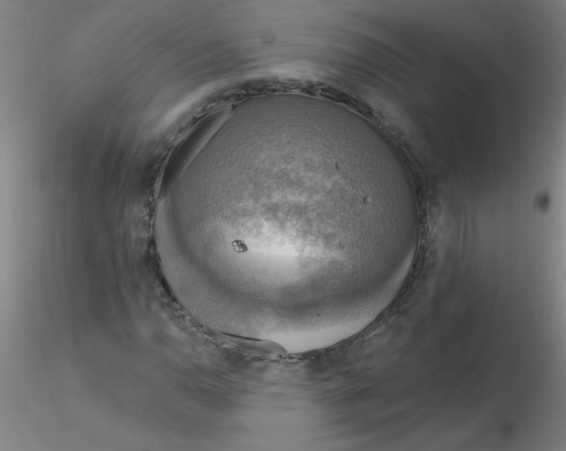 X0000116301110200912211855