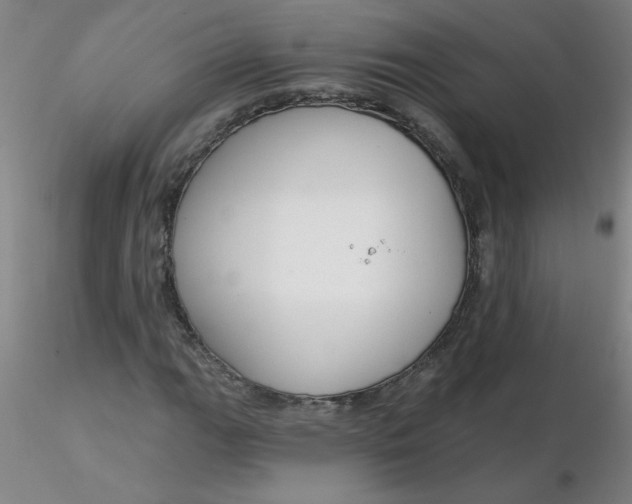 X0000116301111200912211855