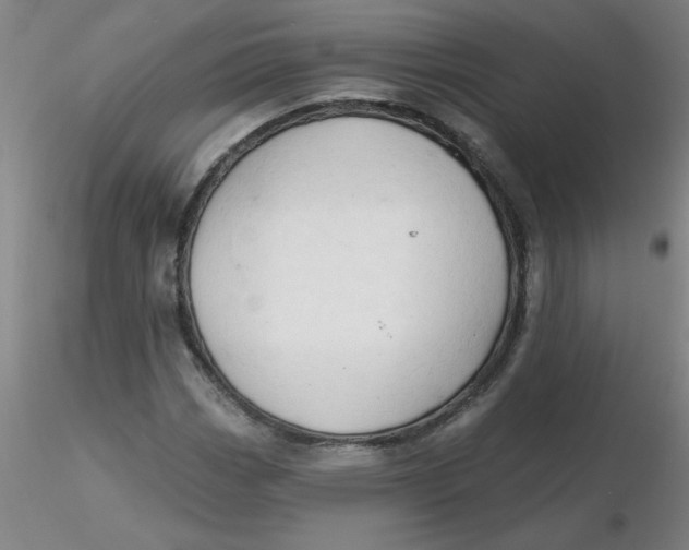 X0000116301113200912211856