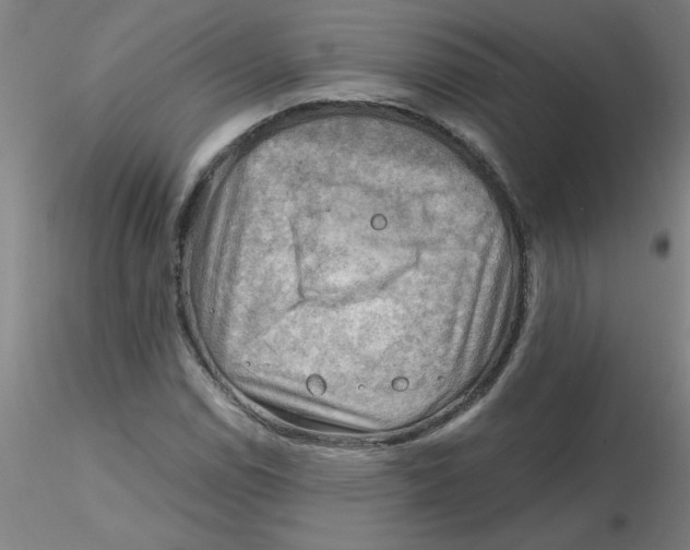 X0000116301114200912211856