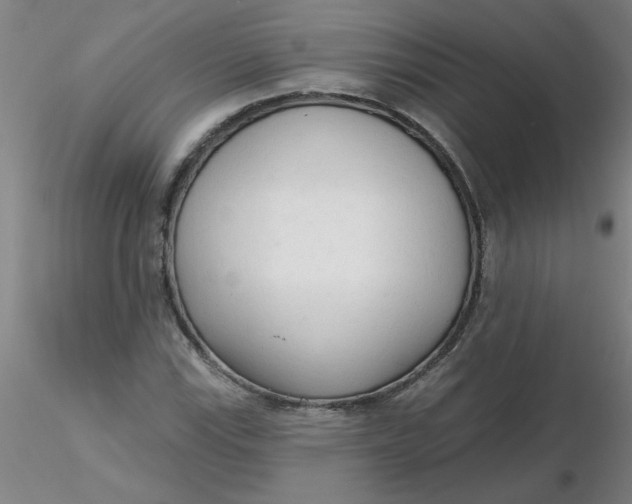 X0000116301115200912211856