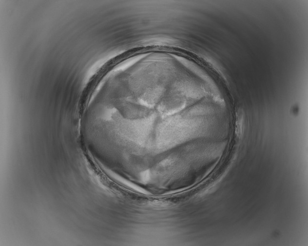 X0000116301117200912211856