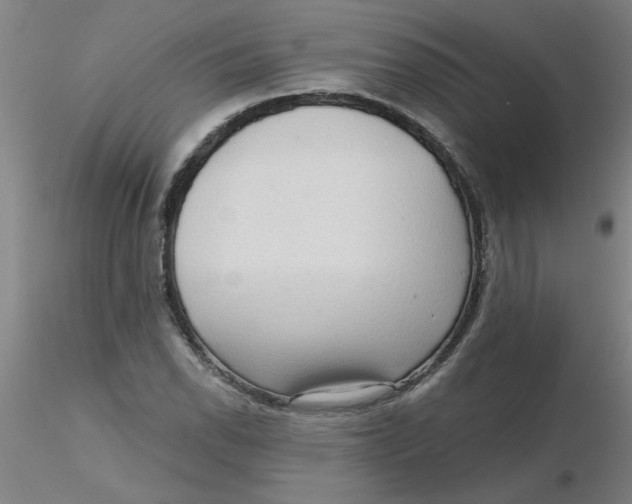 X0000116301118200912211856