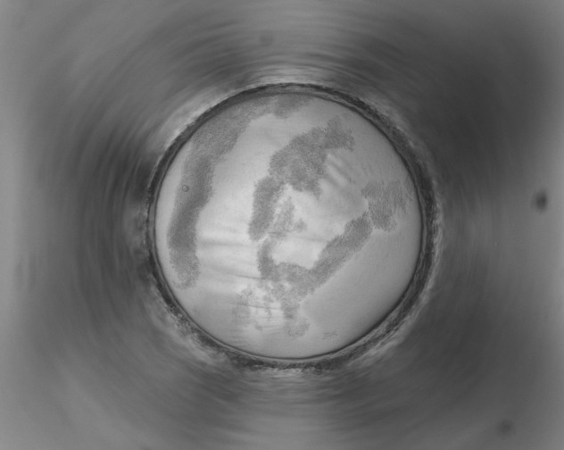 X0000116301121200912211856