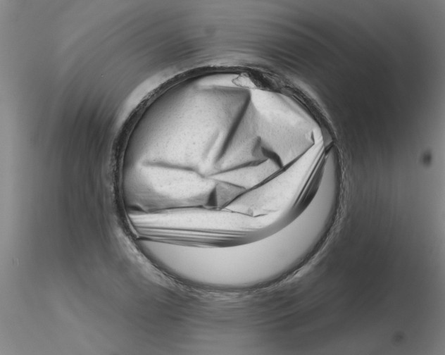 X0000116301122200912211856