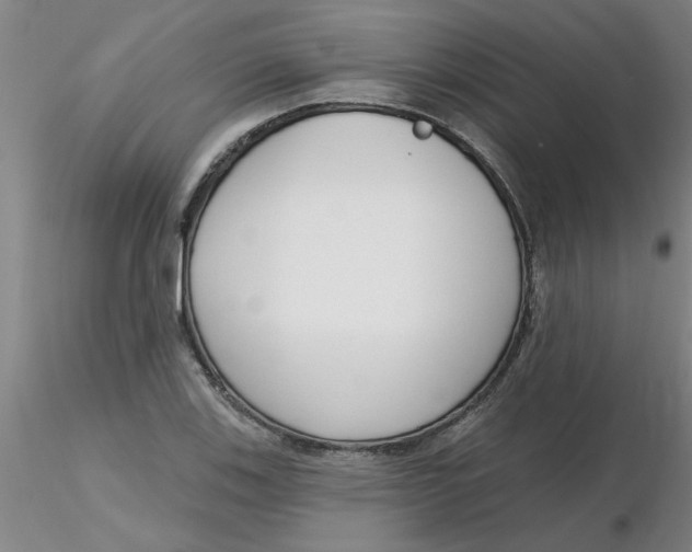 X0000116301123200912211856