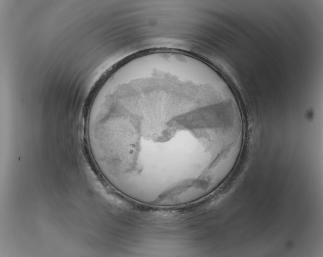 X0000116301125200912211856