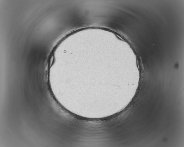 X0000116301126200912211856