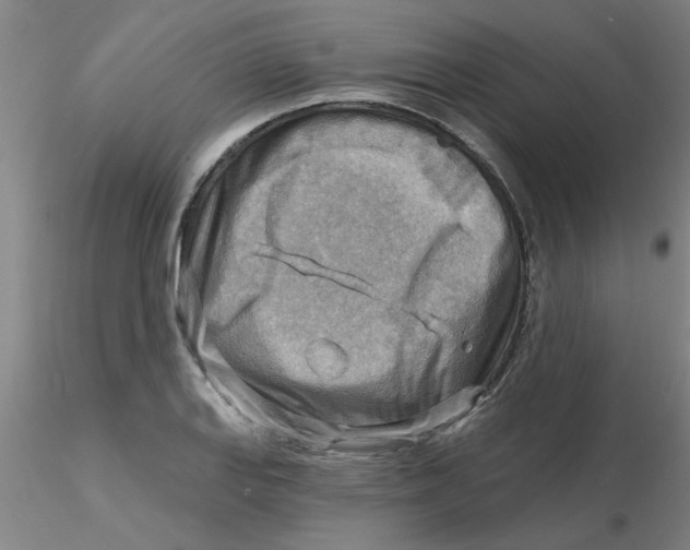 X0000116301127200912211856