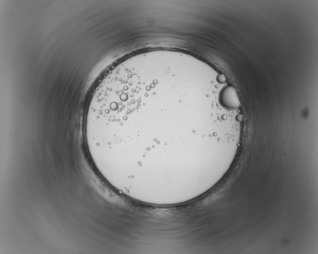 X0000116301130200912211856