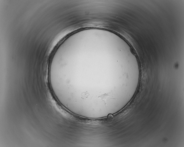 X0000116301131200912211856