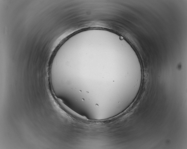 X0000116301133200912211856