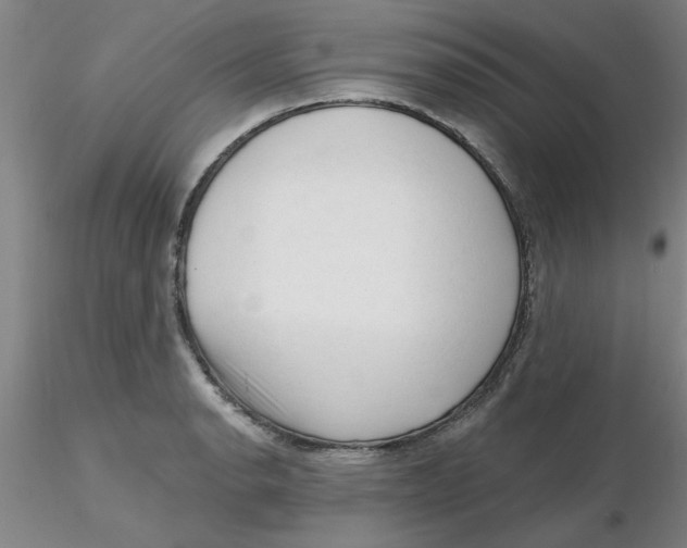 X0000116301134200912211856