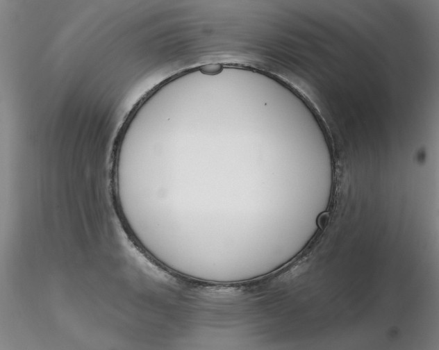 X0000116301135200912211856