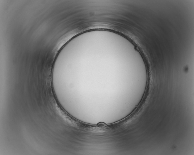 X0000116301137200912211856