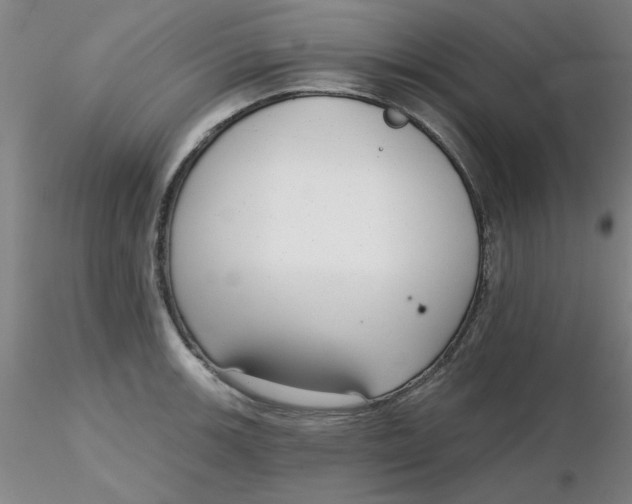 X0000116301139200912211856