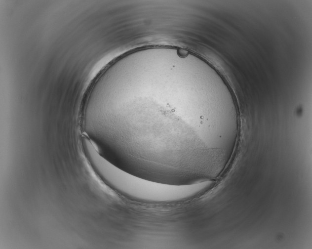 X0000116301141200912211856