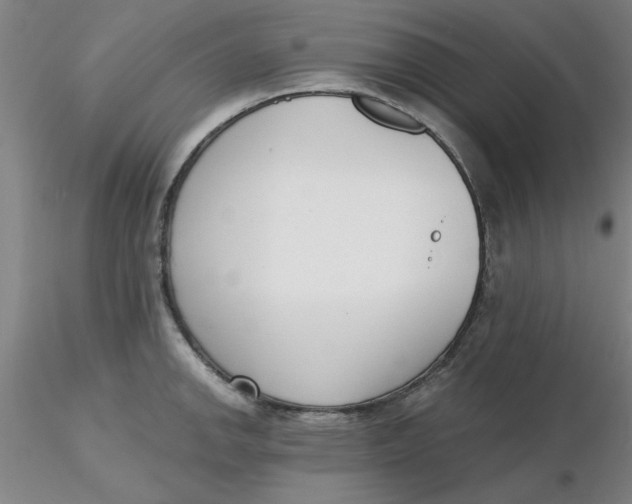 X0000116301142200912211856